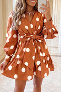 Brown Polka Dot Tie Waist Dress